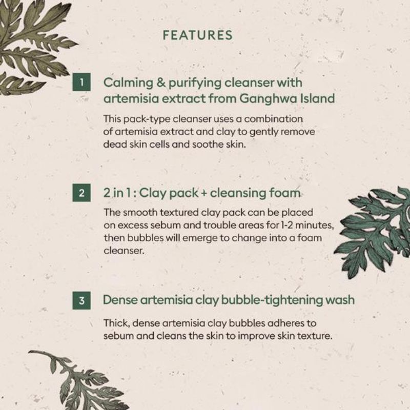 Time Revolution Artemisia Pack Foam Cleanser