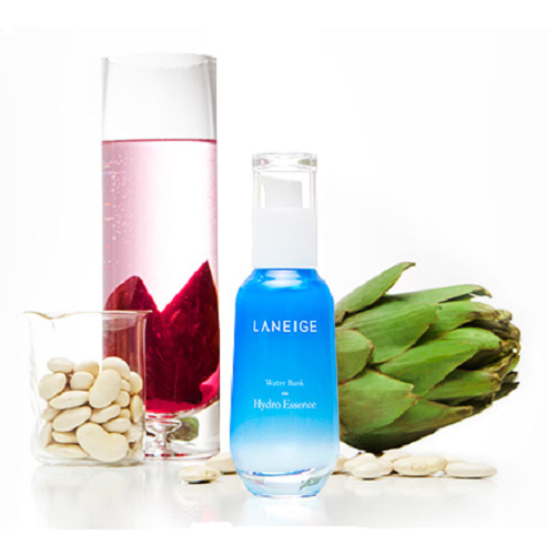 Water Bank Hydro Essence